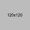 Radius Theme